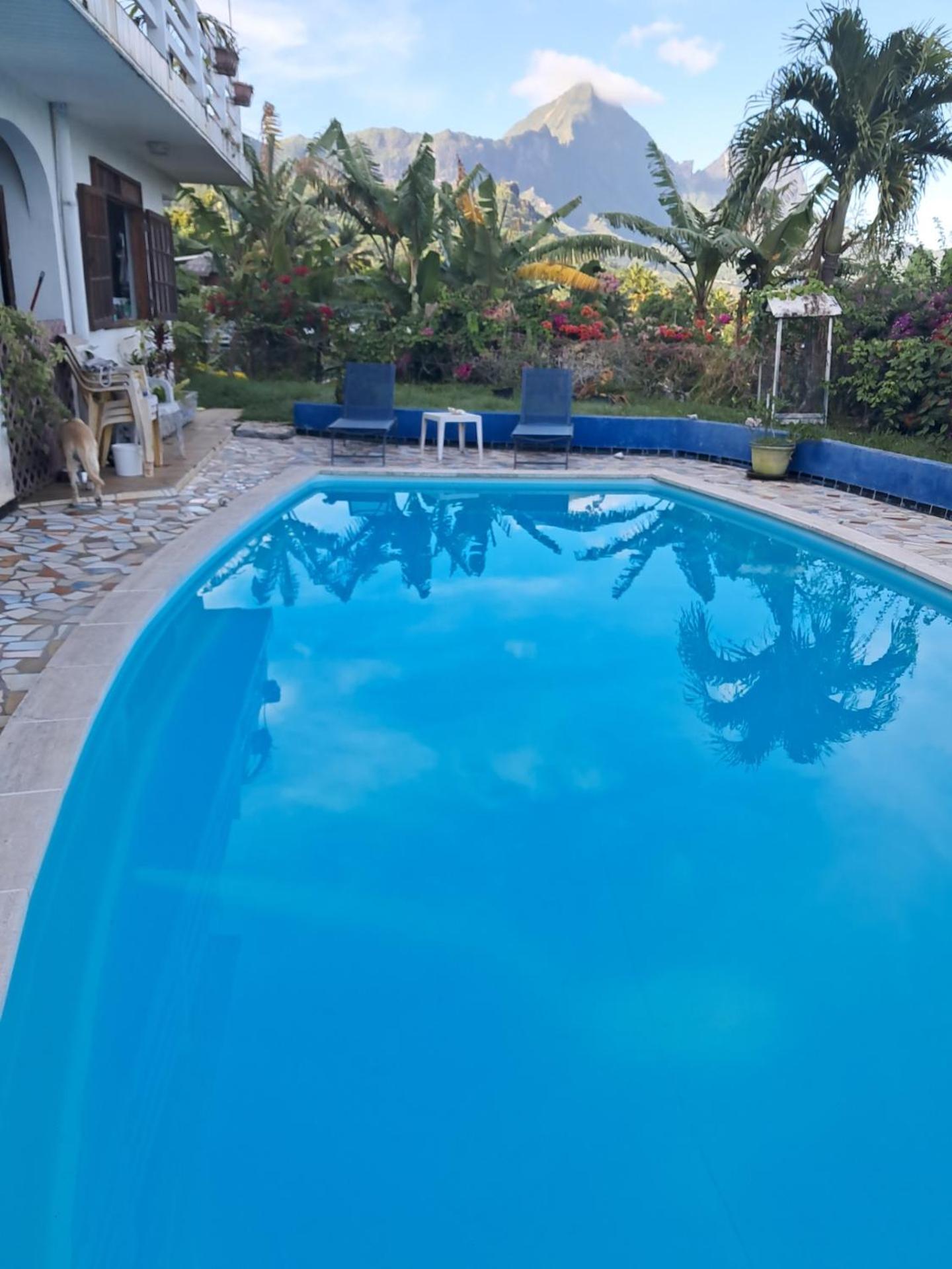 Villa Vaiana Eurl Vaiana Faratea Paopao المظهر الخارجي الصورة