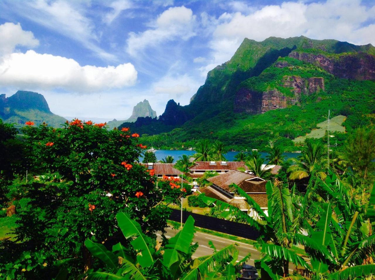 Villa Vaiana Eurl Vaiana Faratea Paopao المظهر الخارجي الصورة
